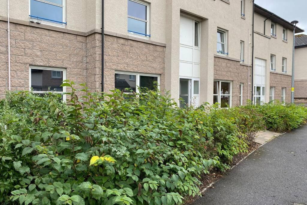 Peter Pan Apartment In The Heart Of Inverness Dalneigh Exterior photo